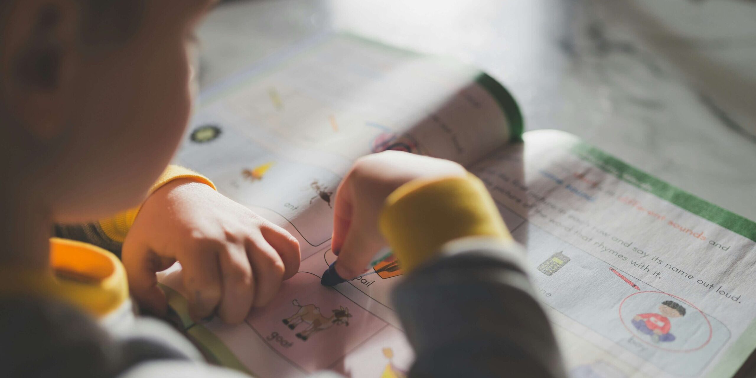 Child engaged in cognitive task, IQ and giftedness testing Denver Englewood CO